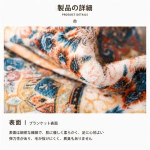 円形ラグ ペルシャ風 ラグマット おしゃれ ボ...の詳細画像3