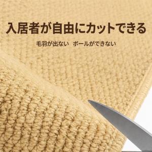 玄関マット 室内 泥落とし ドアマット サイザ...の詳細画像4
