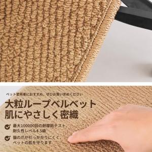 玄関マット 室内 泥落とし ドアマット サイザ...の詳細画像5