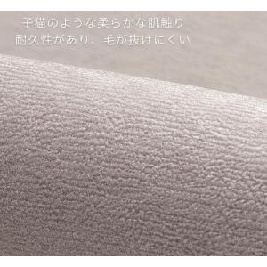 玄関マット 室内 おしゃれ 北欧風 ラグマット...の詳細画像1