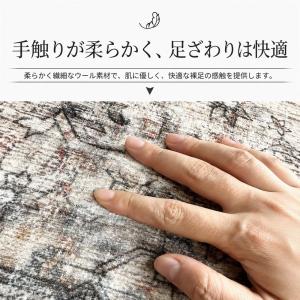 ラグ ペルシャ風 ヴィンテージ調 洗える カー...の詳細画像3