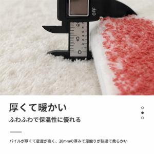 ラグ ラグマット 洗える 滑り止め 極厚 もこ...の詳細画像5
