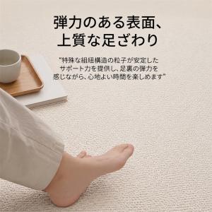 ラグ 撥水 カーペット サイザル調 ラグマット...の詳細画像2