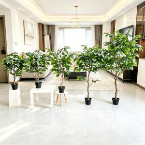 人工観葉植物 コーヒーの木 フェイクツリー 9...の詳細画像1