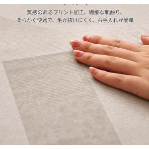 玄関マット 室内 おしゃれ 北欧風 モダン ド...の詳細画像2