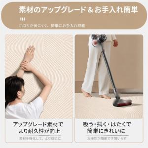 玄関マット 室内 おしゃれ 北欧風 モダン ド...の詳細画像4