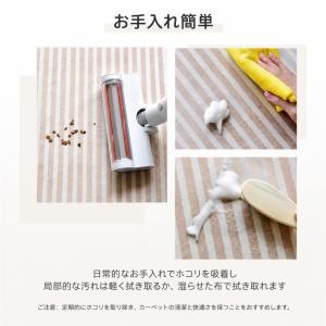 玄関マット 室内 おしゃれ 北欧風 モダン ド...の詳細画像5