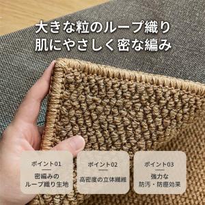 玄関マット 泥落とし 室内 屋外 ラグマット ...の詳細画像3