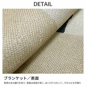 ラグ カーペット 絨毯 リビングマット 北欧風...の詳細画像2