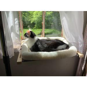 猫 ハンモック 窓際ベッド 木製 キャットハン...の詳細画像3