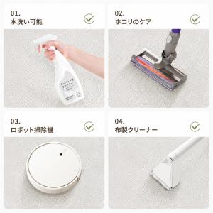 ラグ カーペット 洗える 幾何学柄 北欧風 モ...の詳細画像3