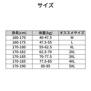 ポロシャツ メンズ 半袖 ボーダー 襟付き 紳...の詳細画像5