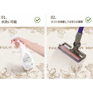 ラグ 円形 洗える カーペット 丸型 おしゃれ...の詳細画像3