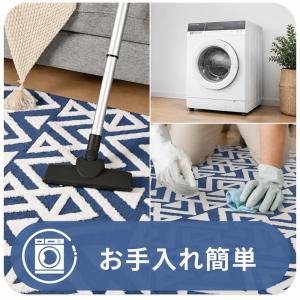 ラグ カーペット 洗える ラグマット ウェーブ...の詳細画像5