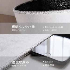 ラグ カーペット 絨毯 北欧風 モダン 洗える...の詳細画像4