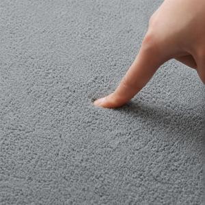 ラグ カーペット ラグマット 洗える 短毛 フ...の詳細画像3