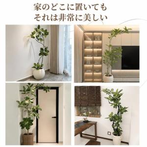 人工観葉植物 大型 フィカス ベンガレンシス ...の詳細画像1