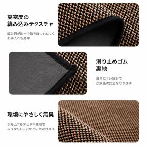 玄関マット 室内 屋外 ドアマット 泥落とし ...の詳細画像2