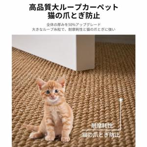 チェアマット 傷防止 デスクカーペット 床保護...の詳細画像3