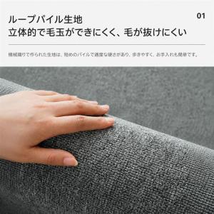 ラグ カーペット 絨毯 高密度 ループパイル ...の詳細画像1
