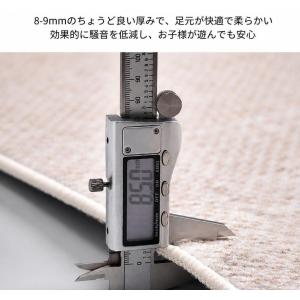 ラグ 円形 洗える 丸型 ラグマット 北欧風 ...の詳細画像4