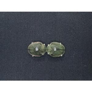 アンティーク　帯留め　リアルスカラベ　コガネムシ　希少