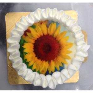 写真ケーキ 5号（15cm)  生クリーム/チョコクリーム 丸型