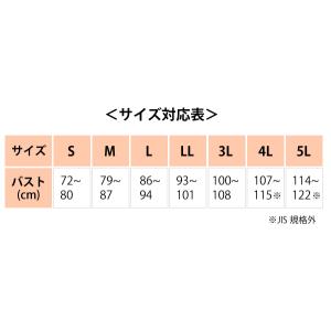 ワコール wacoal ウイング Wing E...の詳細画像5