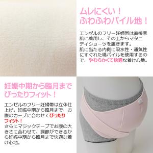 腹帯 妊婦帯 帯祝いセット(妊婦帯&フリー妊婦...の詳細画像3