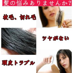 ブラシ 魔法の ヘアブラシ 絡まない 艶髪 ヘ...の詳細画像1