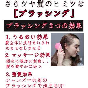 ブラシ 魔法の ヘアブラシ 絡まない 艶髪 ヘ...の詳細画像2