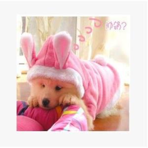 犬服 セール新作うさみみパーカー暖かボアコート...の詳細画像3