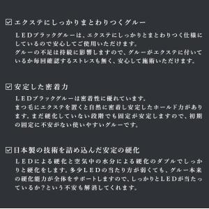 LEDマツエク LEDブラックグルー まつげエ...の詳細画像4