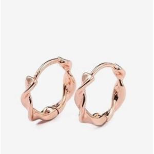 ピアス アレルギー対応 レディース フープピア...の詳細画像2