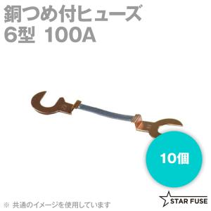 スターヒューズ 6型 100A 100ACSF55ミリ 10個 銅つめ付ヒューズ