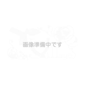 IDEC(アイデック/和泉電機) ABN101R 2017年リニューアル品 Φ30シリーズ 押ボタンスイッチ 平形 赤 NN｜angelhamshopjapan
