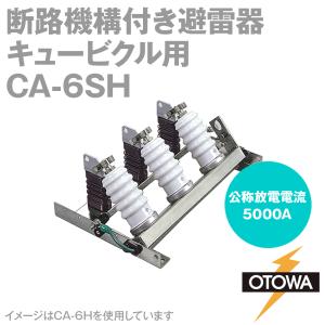 OTOWA 音羽電機 CA-6SH 高圧配電用避雷器 キュービクル用 断路機構付き 8.4kV 5000A OT｜angelhamshopjapan