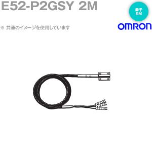 オムロン(OMRON) E52-P2GSY 2M 温度センサ 表面測温用白金測温抵抗体 リード線直出し形 リード線長さ2m NN