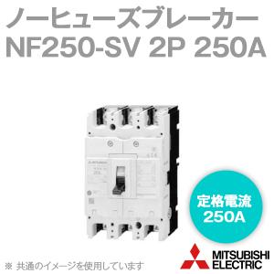 三菱電機（MITSUBISHI ELECTRIC） NF125-SV 2P 125A (ノーヒューズ