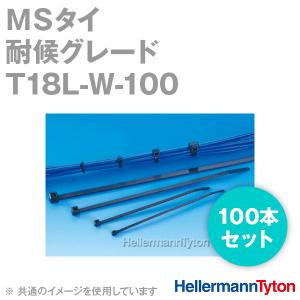 ヘラマンタイトン T18L-W-100 インシュロック MSタイ (100本セット