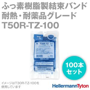 ヘラマンタイトン T30R-TZ-100 インシュロック ふっ素樹脂製結束バンド 
