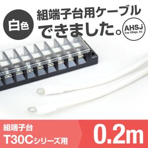 T30C用 白色 0.2m 端子台接続ケーブル (KIV 8sq 丸型圧着端子 R8-5) TV｜angelhamshopjapan