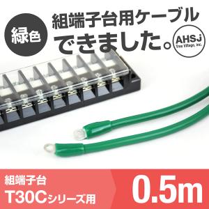 T30C用 緑色 0.5m 端子台接続ケーブル (KIV 8sq 丸型圧着端子 R8-5) TV｜angelhamshopjapan