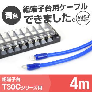 T30C用 青色 4m 端子台接続ケーブル (KIV 8sq 丸型圧着端子 R8-5) TV｜angelhamshopjapan