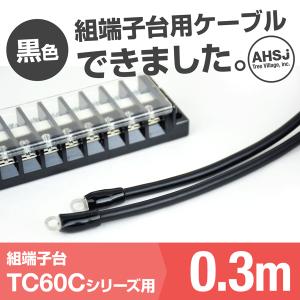 TC60C用 黒色 0.3m 端子台接続ケーブル (KIV 14sq 丸型圧着端子 R14-5) TV｜angelhamshopjapan