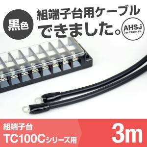 TC100C用 黒色 3m 端子台接続ケーブル (KIV 38sq 丸型圧着端子 R38-8) TV｜angelhamshopjapan