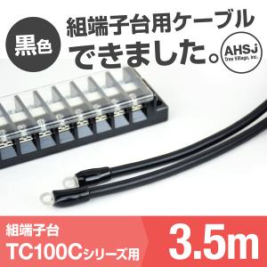 TC100C用 黒色 3.5m 端子台接続ケーブル (KIV 38sq 丸型圧着端子 R38-8) TV｜angelhamshopjapan