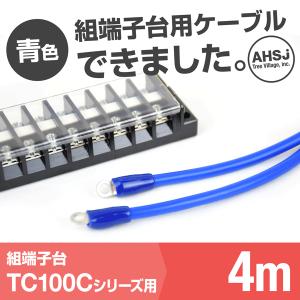 TC100C用 青色 4m 端子台接続ケーブル (KIV 38sq 丸型圧着端子 R38-8) TV｜angelhamshopjapan