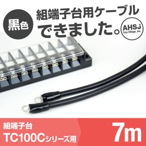 TC100C用 黒色 7m 端子台接続ケーブル (KIV 38sq 丸型圧着端子 R38-8) TV｜angelhamshopjapan