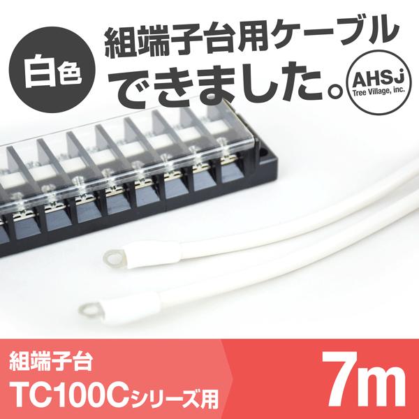 TC100C用 白色 7m 端子台接続ケーブル (KIV 38sq 丸型圧着端子 R38-8) TV